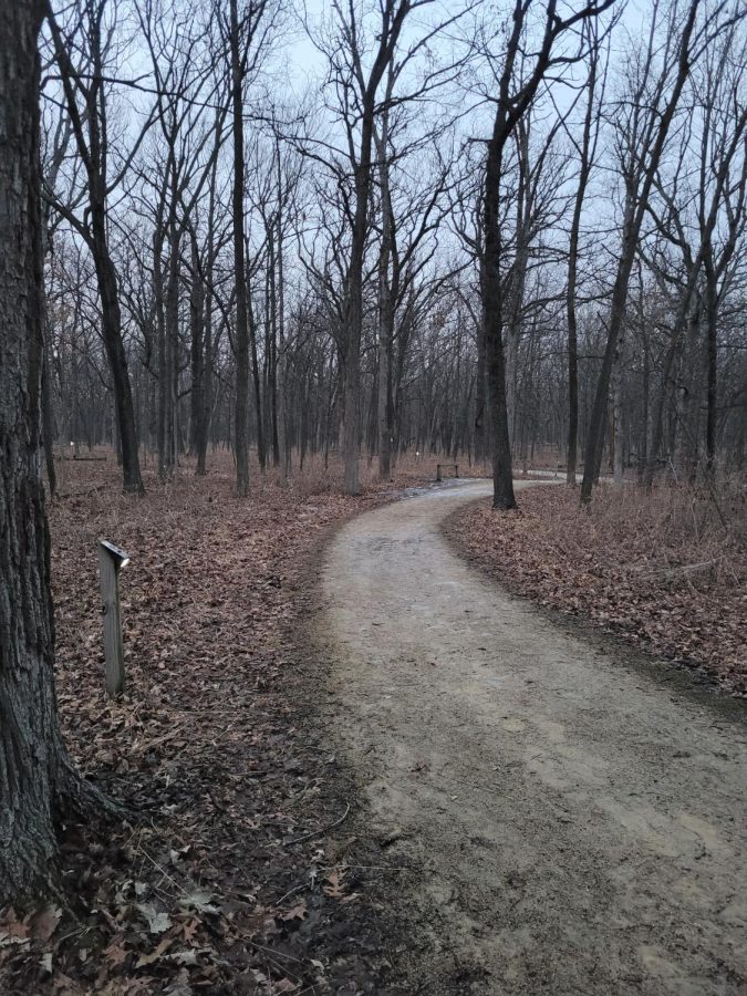 The bike path lights, which have been installed at Old School Forest Preserve and Lakewood Forest Preserve, have received both positive and negative feedback from trailwalkers and the community.