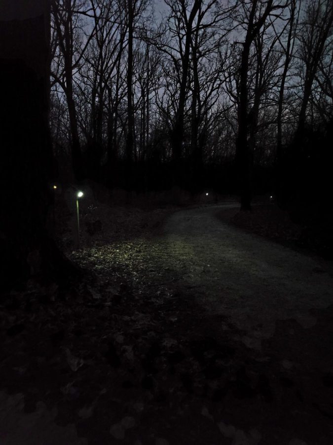 The bike path lights, which have been installed at Old School Forest Preserve and Lakewood Forest Preserve, have received both positive and negative feedback from trailwalkers and the community.