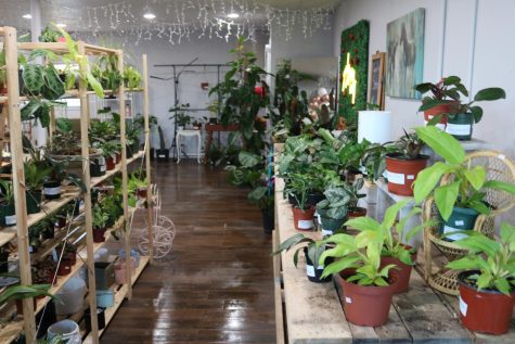 Cultured Roots, a small plant shop off Peterson Road, was recently opened by Crystal Peña after she developed a love for plants during the COVID-19 pandemic. The shop is the first plant shop in Lake County. Peña hopes to soon expand her business by moving into downtown Libertyville into a larger space where she can host bigger events and house more plants.