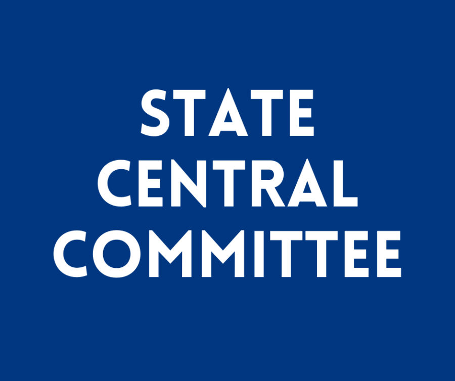 Democratic State Central Committee - 10th District