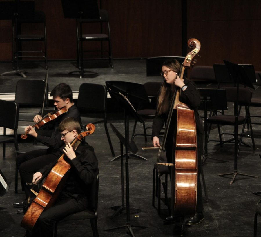 Senior Delaney Rogers plays the “Italian Serenade” by Hugo Wolf. She is the only double bass player in the chamber orchestra.
