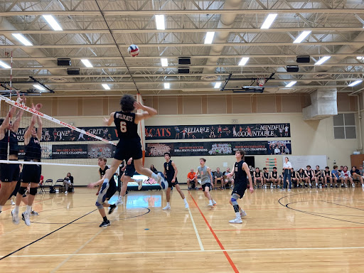 Senior Aleks Slesers (6), an outside hitter for the Wildcats, springs up to spike the ball as Barrington players position themselves to make their next move.
