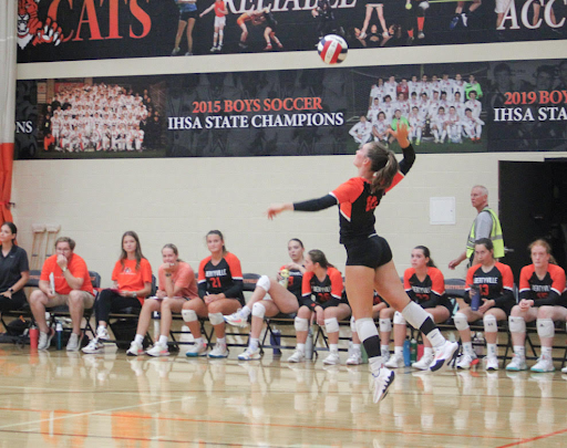 Senior Mia Colton (10) springs into the air for another powerful serve against the Eagles. Serving was a key component of the Wildcat win against Lakes, with seniors Colton, Hannah Fleming (17) and Stella Meyer (8) contributing to a number of aces, or unreturned serves.