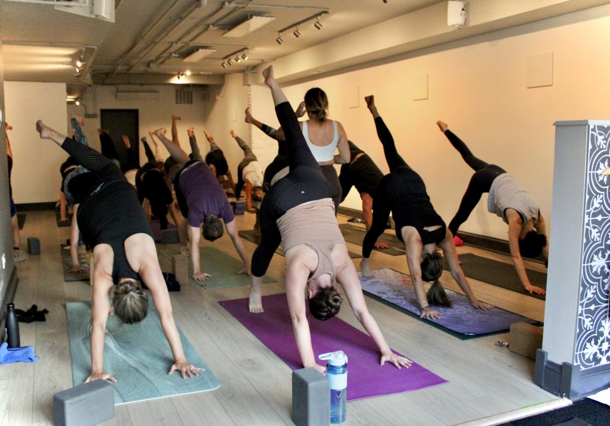 An instructor at Libertyville’s Black Cat Yoga guides students into a three-legged dog position. Other group and private services found at Black Cat Yoga include Reiki, sculpting yoga, energy healing, meditation and sauna.