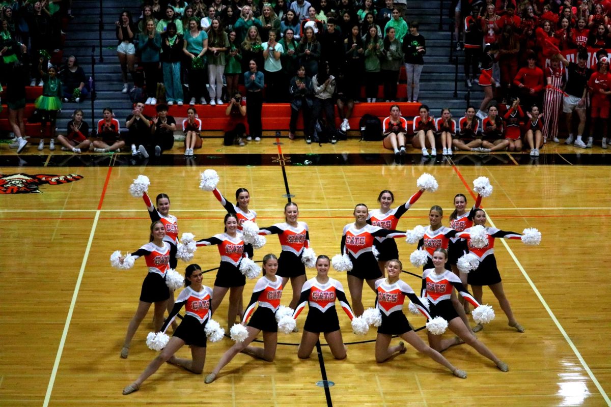 LHS Poms finish their performance in a striking pose during their assembly routine. Their performance was full of energy and had the crowd mesmerized.