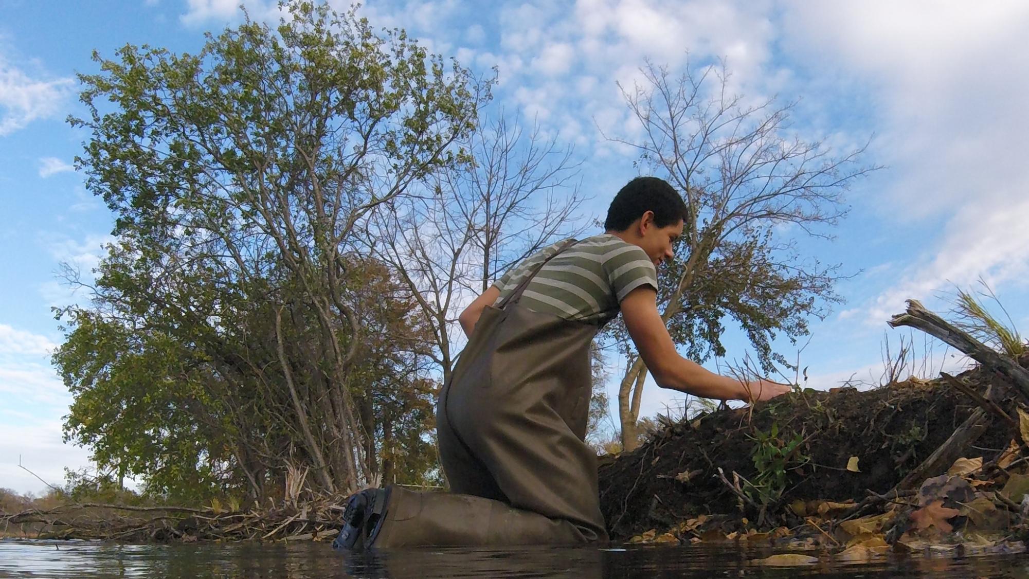 The November 2023 Issue: Roots