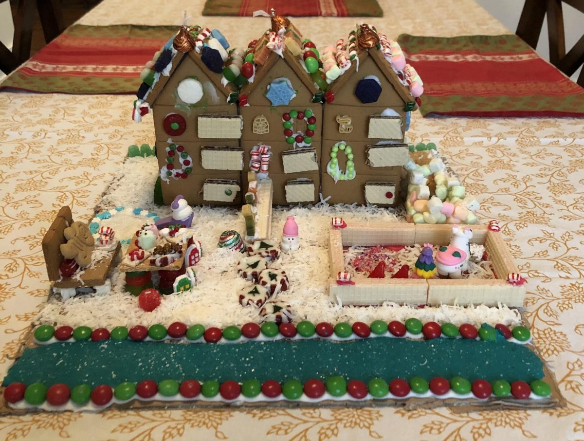 In 2020, my sister, Grace and I decided to create rowhouse gingerbread houses. Mine was decorated with peppermints, gummies, M&Ms, holiday pasta, marshmallows and a Hershey’s Kiss chimney on top of each row house. The rowhouses not only were more time consuming, but were a unique style of house to decorate, which I loved. In the backyard of the house, I added a table, marshmallow igloo, and a canal made from blue sprinkles and M&Ms to make the house’s setting feel like the Netherlands. 
