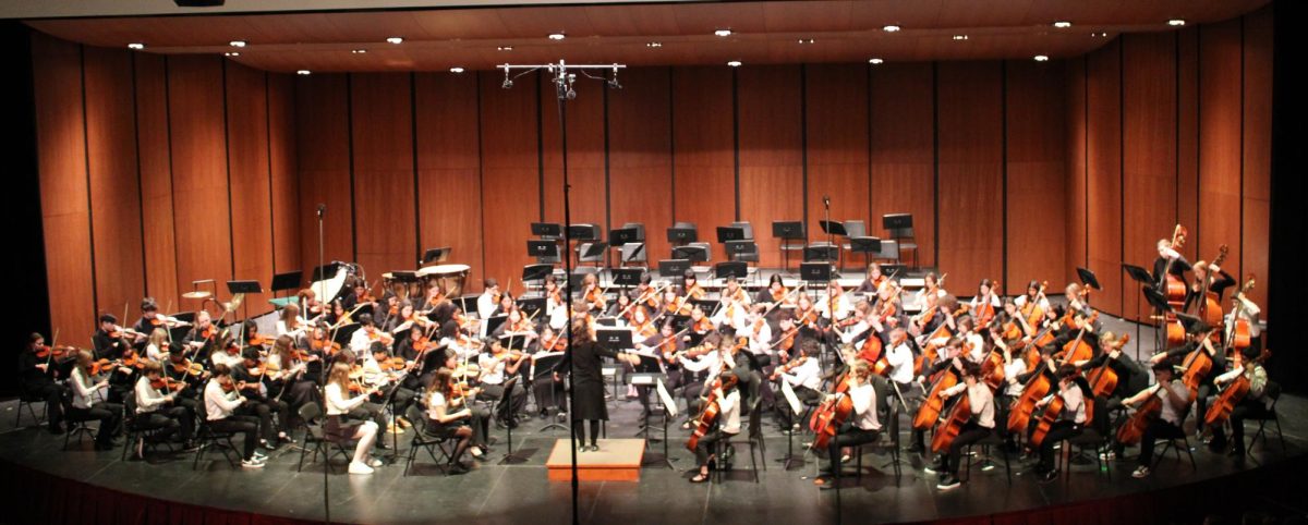 Symphony Orchestra and the middle school Highland Strings combine to play “Serenade For String Orchestra” by Norman Leyden. Earlier that day guest conductor Daryl Silberman practiced with the groups to prepare for the concert. 