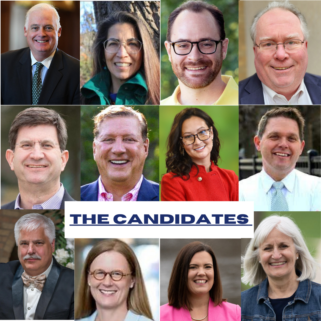 An in-depth look at the 2024 Lake County primary candidates