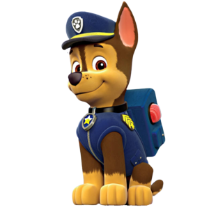 What Paw Patrol Character Are You?