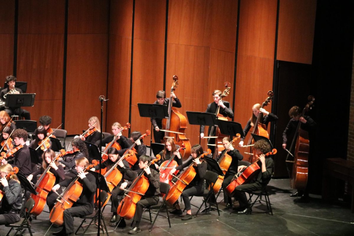 The Cellos and Basses perform The Bartered Bride, Concord from Gloriana and Symphony No. 5, op.67. Earlier that night, they also performed with the Highland Middle School Orchestra.