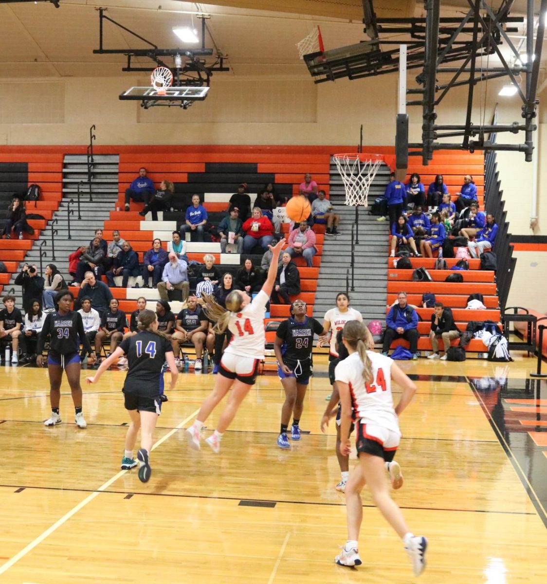 Senior Sophia Cesnovar (14) jumps past Warren’s defense in a layup in the second quarter. 

