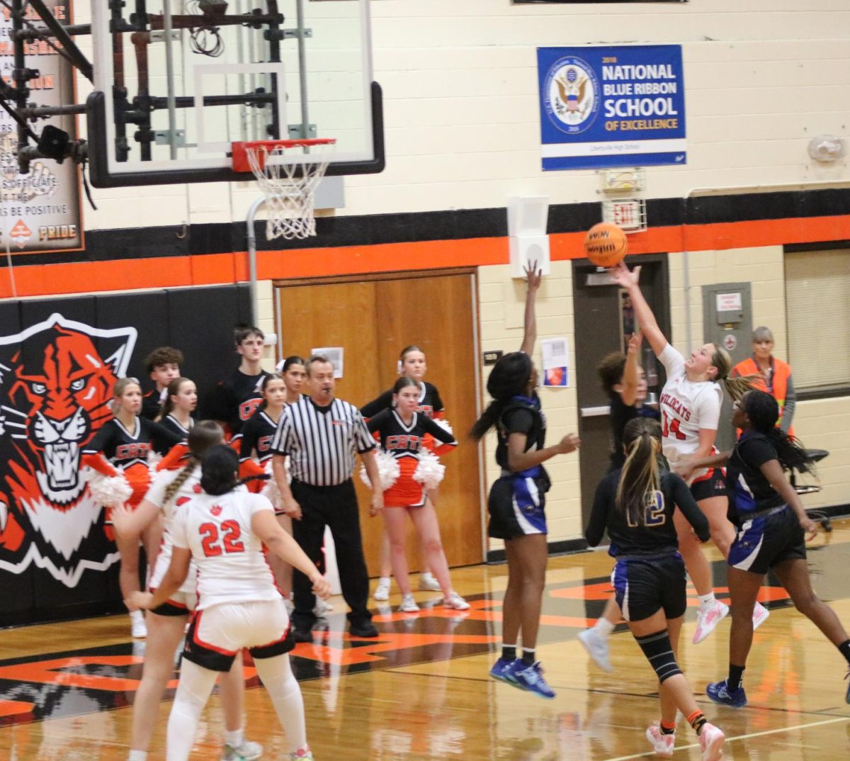 Senior Sophia Cesnovar presses the Warren defense in the fourth quarter of the game. 
