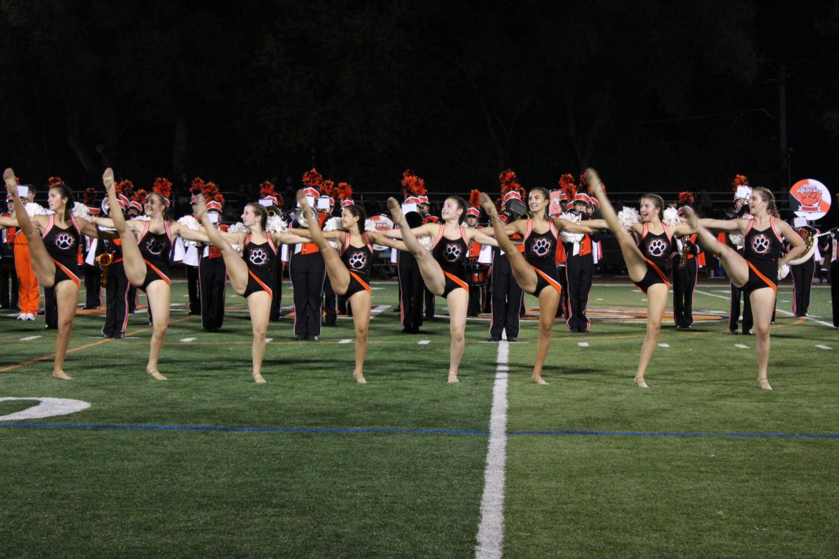 Monumental Night for Libertyville Despite Stevenson Setback