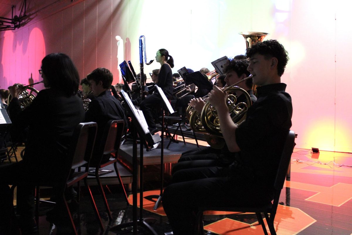 Sophomore Luke Wagliardo plays "Uranus," a movement from "The Planets" by Gustav Host. "I liked playing with a different variety of instruments in orchestra," Wagliardo said. 
